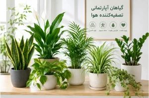 تصفیه‌ کننده هوا